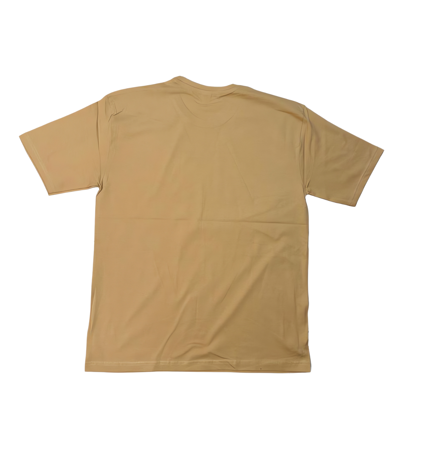 Kung Fu Pand Unisex Cotton Tshirt