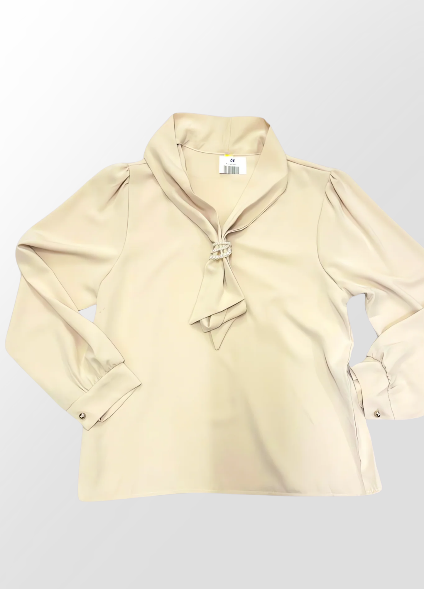 Pormal na Trendy Classy ladies Shirt