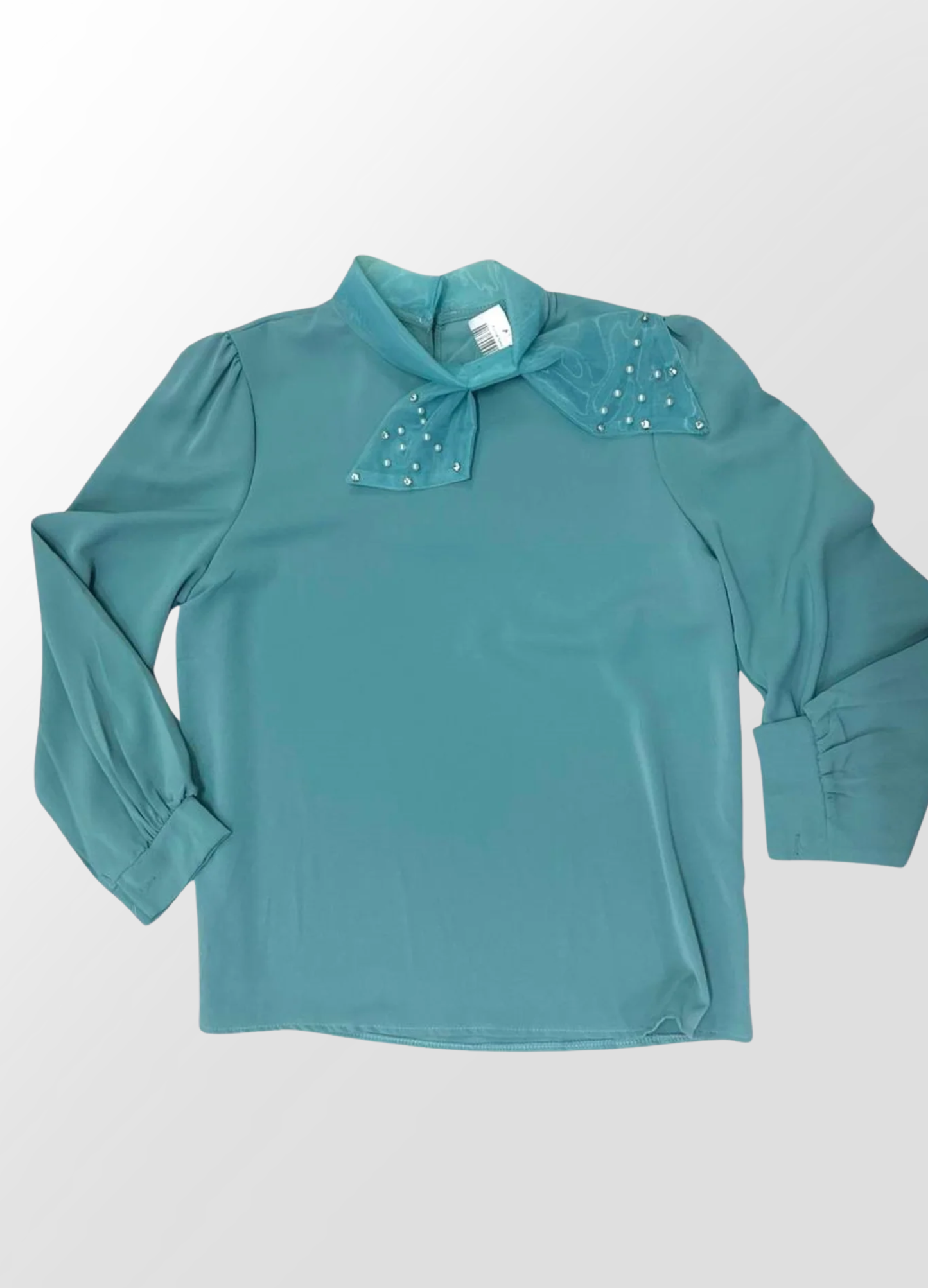 Pormal na Trendy Classy ladies Shirt